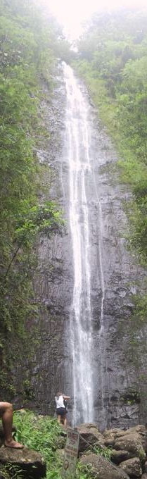 Manoa Falls